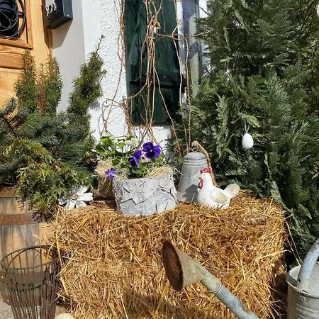 Sudeckie Nad Zalewem Iv Соснувка