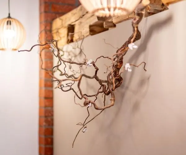 Sudeckie Nad Zalewem Iv