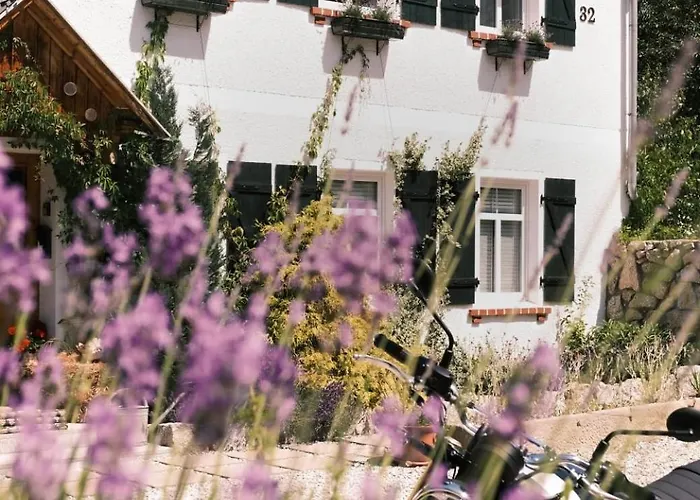 Sudeckie Nad Zalewem Iv * Sosnówka